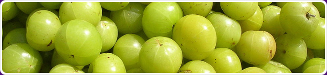 Amla