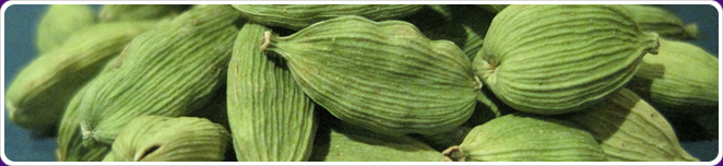 Cardamom